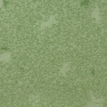 Jeoflor Hetrogeneous vinyl flooring in indian by indiana flooring, vinyl flooring shade 0236 Grass 