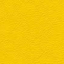 Jeoflor Sports Flooring types, Sports flooring jeopro shades Yellow